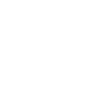 Regulador